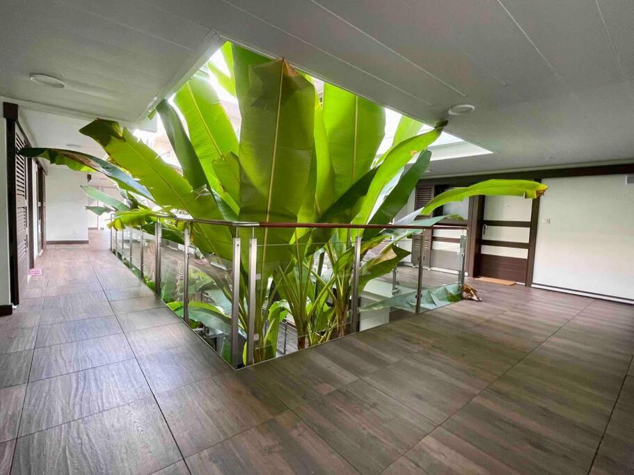 Superbe Appartement, Piscine, Vue Mer Et Montagnes Antibes Exterior photo