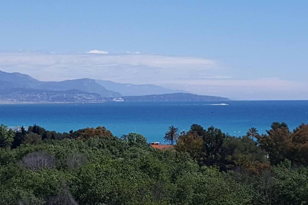 Superbe Appartement, Piscine, Vue Mer Et Montagnes Antibes Exterior photo